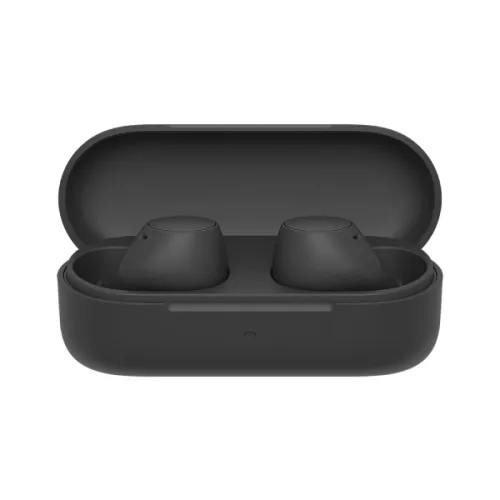 SONY WF-C510 Truly Wireless Earbuds
